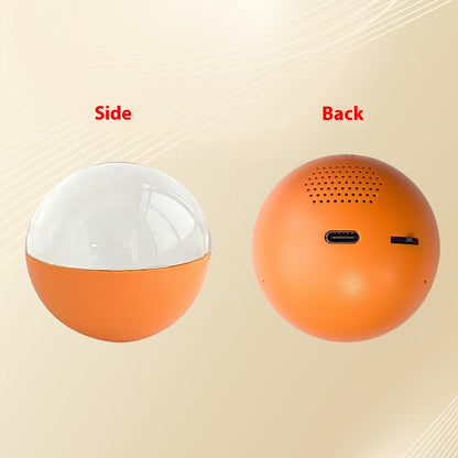 Electronic Ball Photo & Video  3D